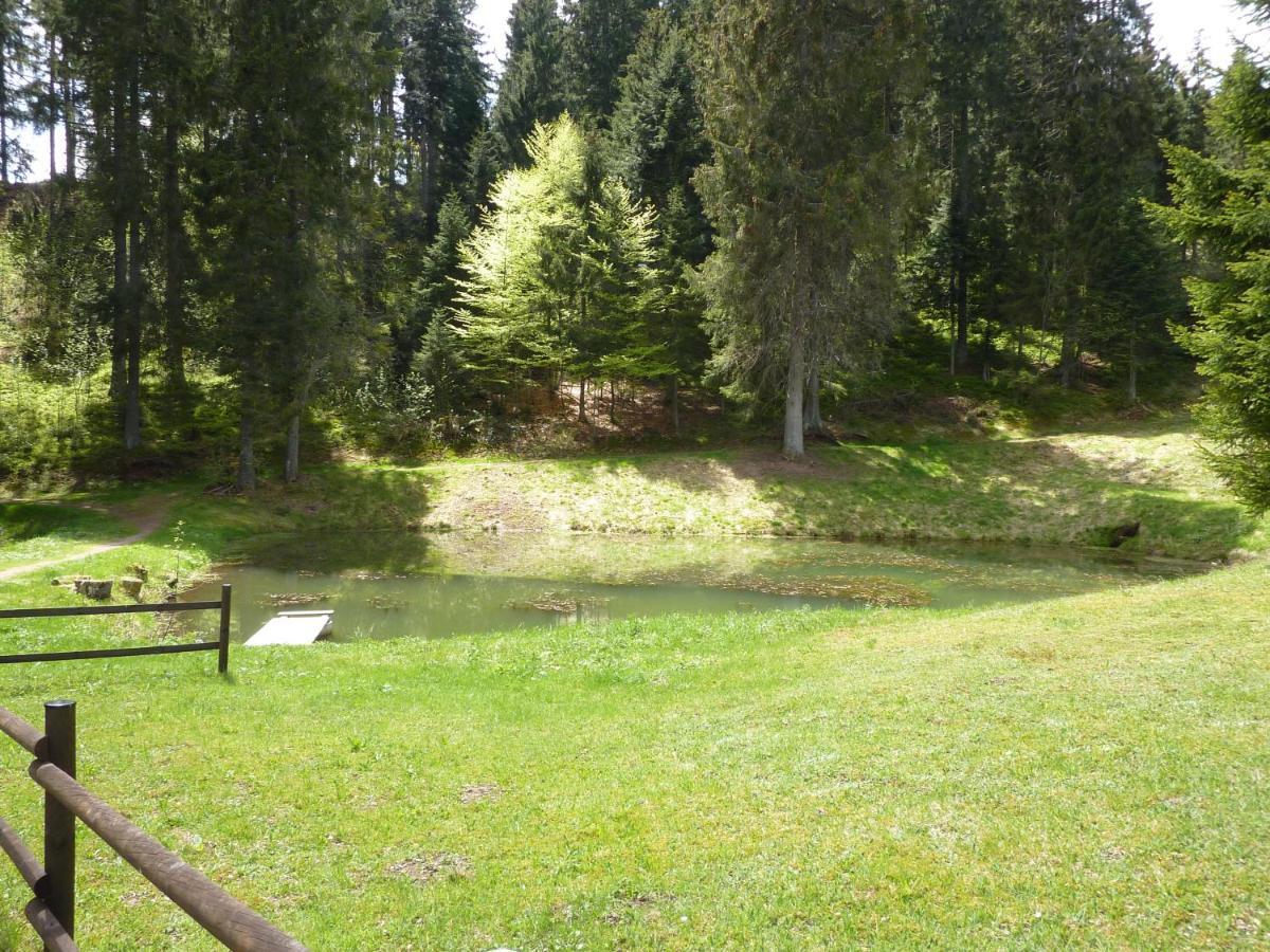 Appartment Leo Шёнвальд Экстерьер фото